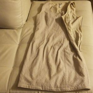 Miilla Clothing Dresses - Miilla Shift Dress Miilla Clothing Dresses - Miilla Shift Dress